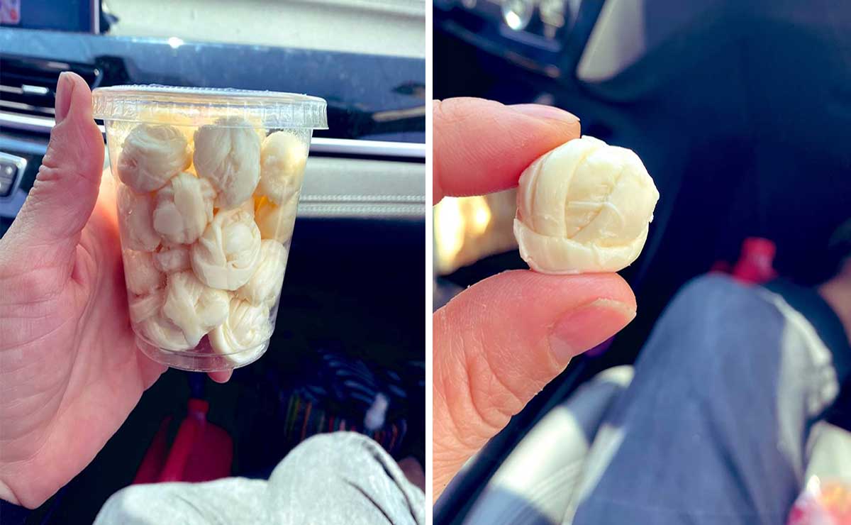 Minis quesitos Oaxaca fotografías.