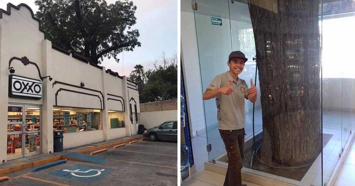 Viral existe un oxxo tiene un árbol en medio