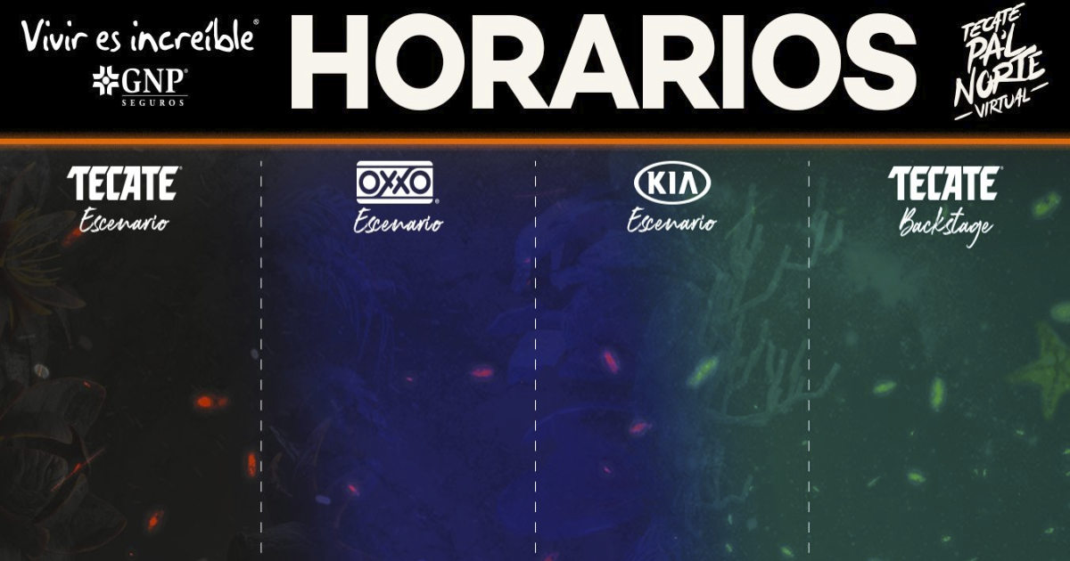 Publican horarios del palnorte virtual este 2021