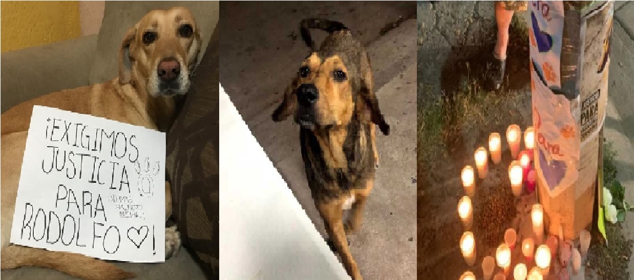 México pide Justicia por Rodolfo Corazon