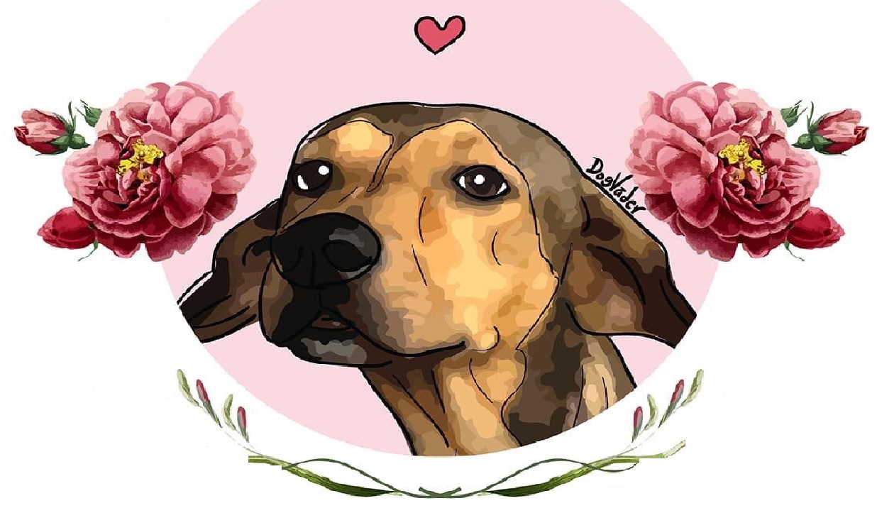 sociedad mexicana solicita justicia por Rodolfo Corazón