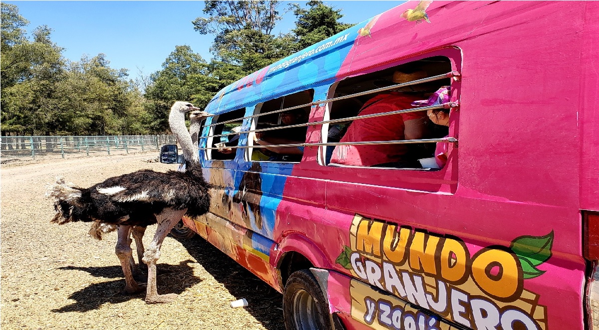 conoce mundo granjro un zoologico cerca del edomex para pasar horas de diveersion