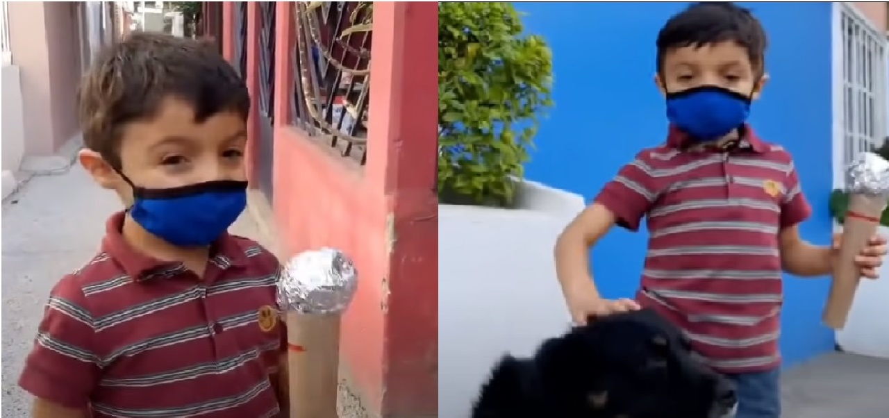 niño juega a ser reporteros y sale a entrevistar a perritos callejeros