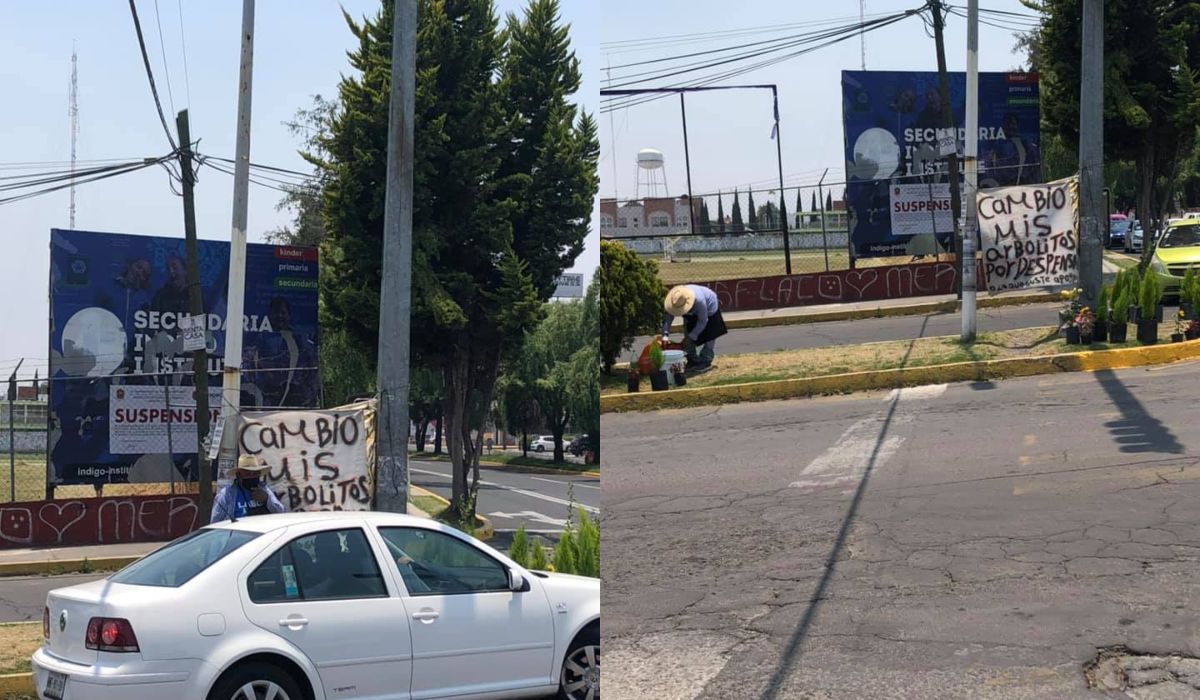 Abuelito cambia sus arbolitos por despensa en METEPEC