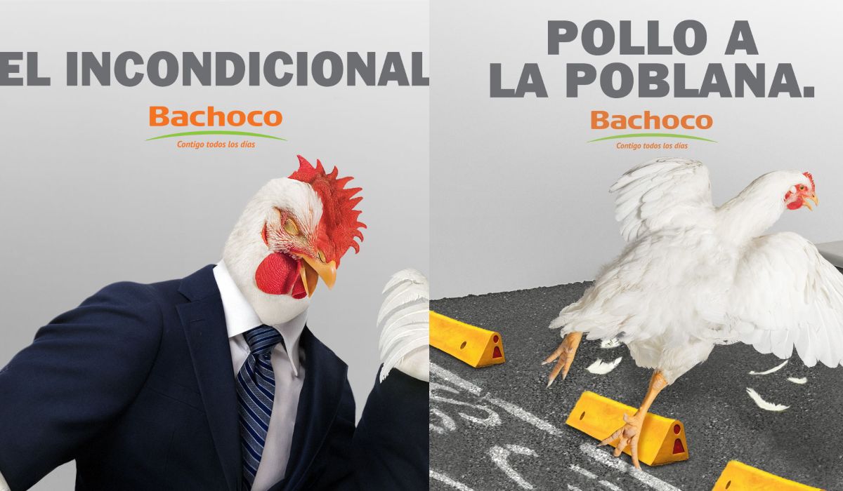 Luis miguel e la nueva imagen de la campaña de marketing de Bachoco