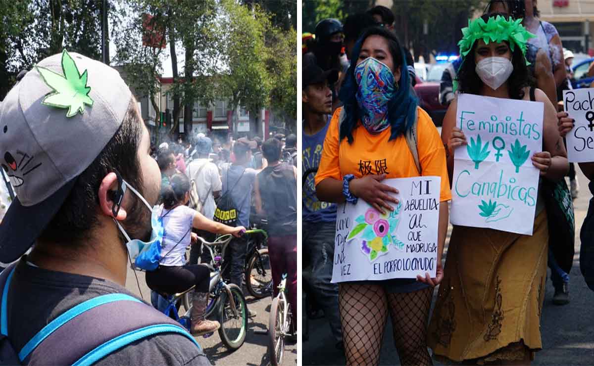 Colectivos piden legalizar la marihuana en Edomex.