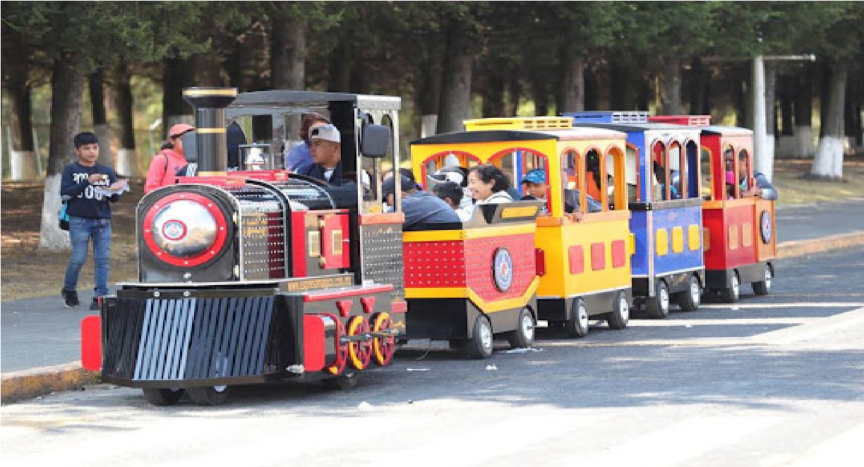 celebra este día del niño en toluca