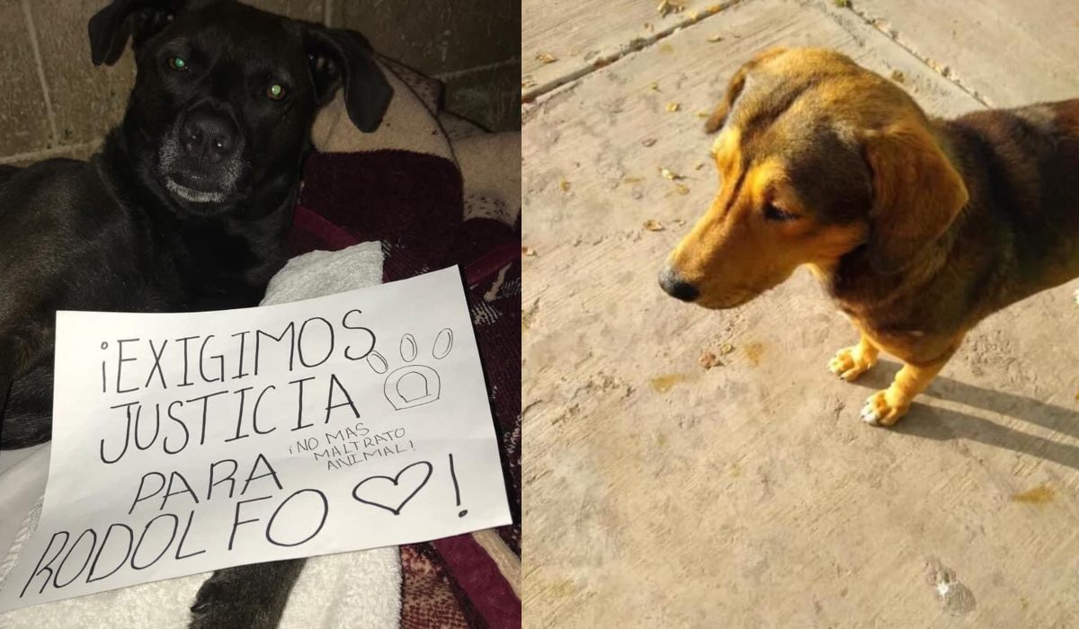 La población de los mochis se encuentra unida para exigir justicia