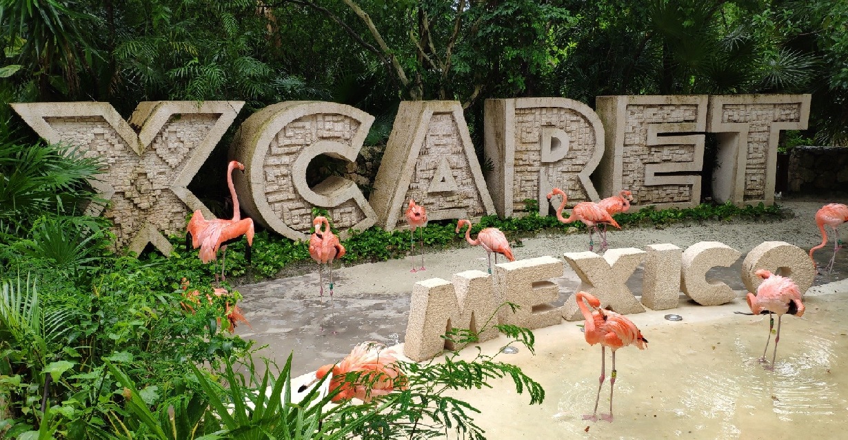 Xcaret deberá pagar una multa de 150 mil pesos debido a que su personal no actuó de manera correcta ante la emergencia ocurrida el pasado 27 de marzo, lo cual ocasionó la muerte de Leonardo Luna