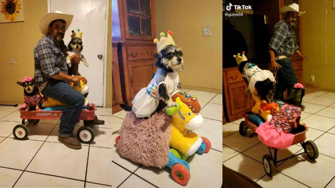 señor se vuelve viral por hacerle fiesta de cumpleaños a su perrita, es el mismo que subió a un caballo mecánico a su mascota
