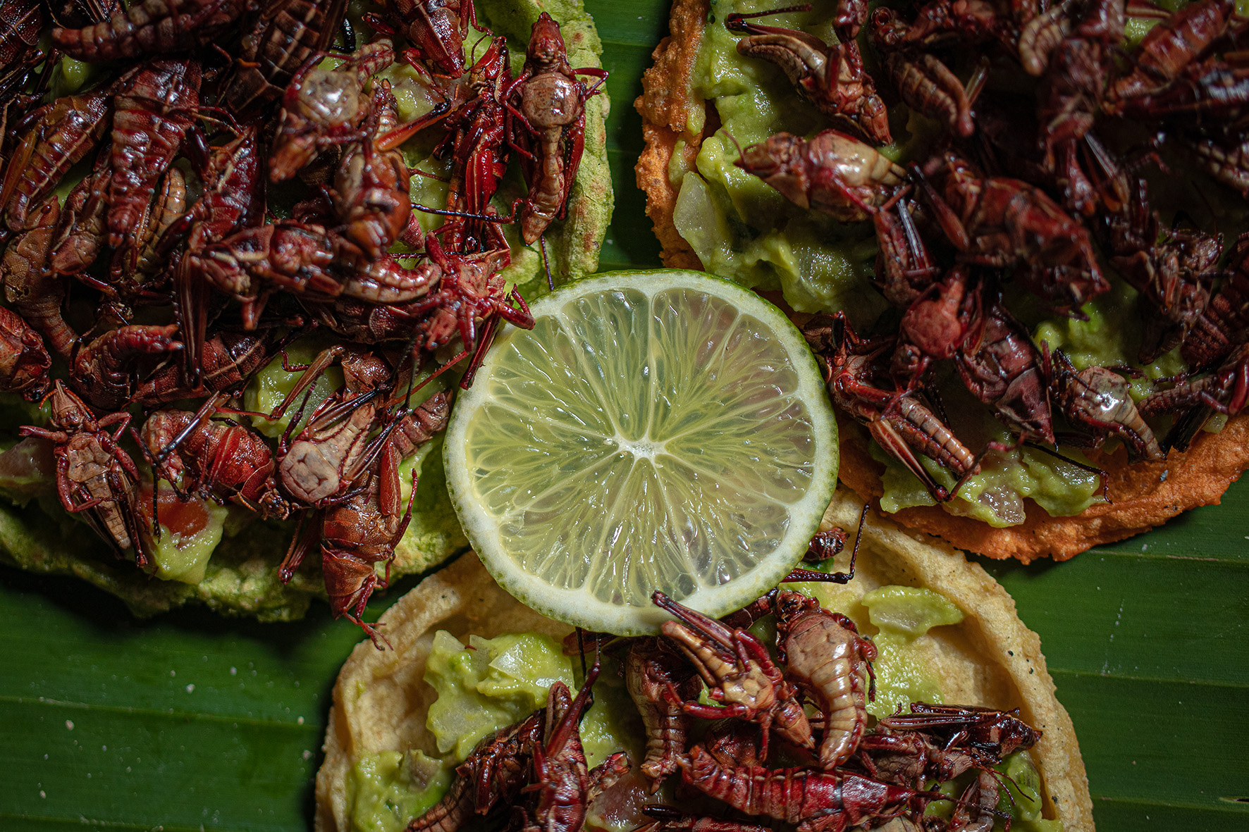 comida en Teotihuacán