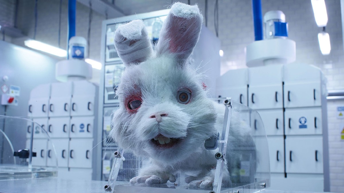 castigo por pruebas cosméticas en animales