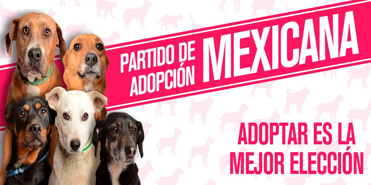 Partido Adopción Mexicana es una iniciativa para adoptar mascotas