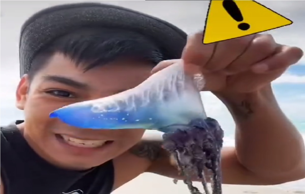 video viral tiktok de joven lamiendo medusa