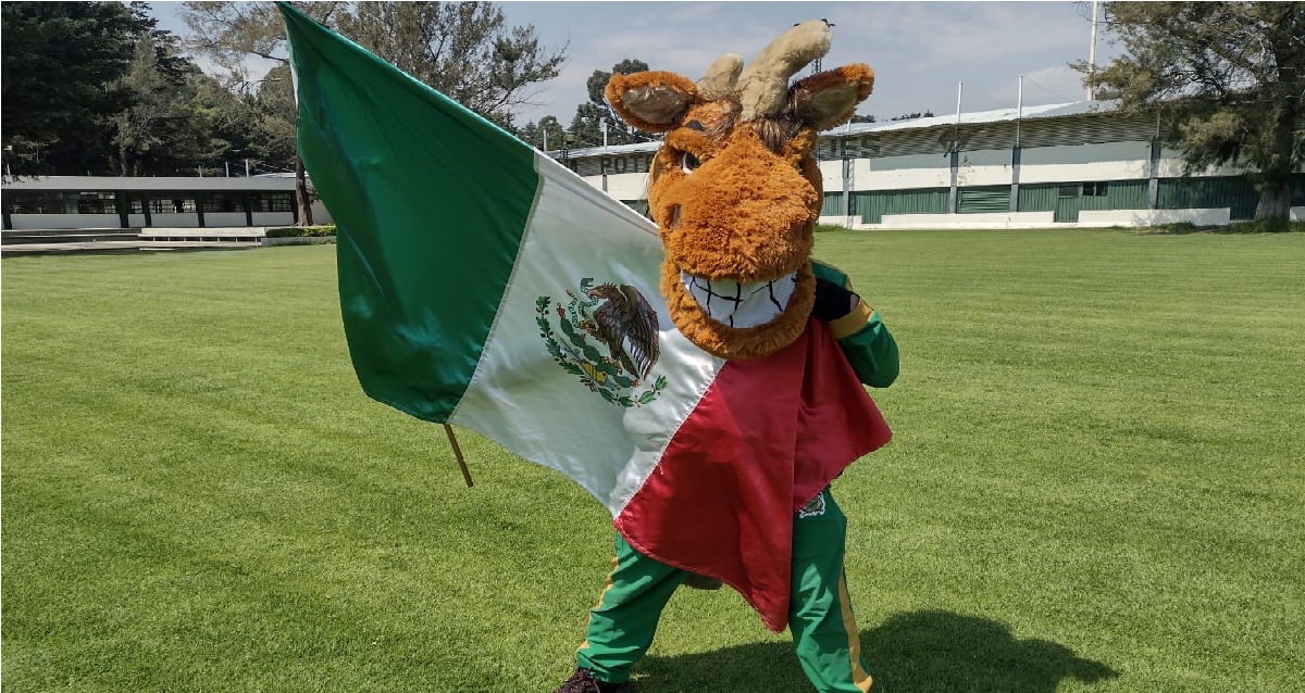 kuako el potro de la uaemex se debate a duelo en la final del torneo de mascotas para ganar