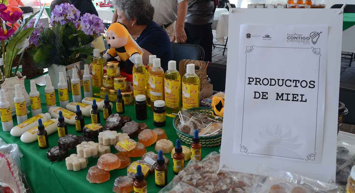 toluca noticias, habrá expo emprendedora para el día del padre