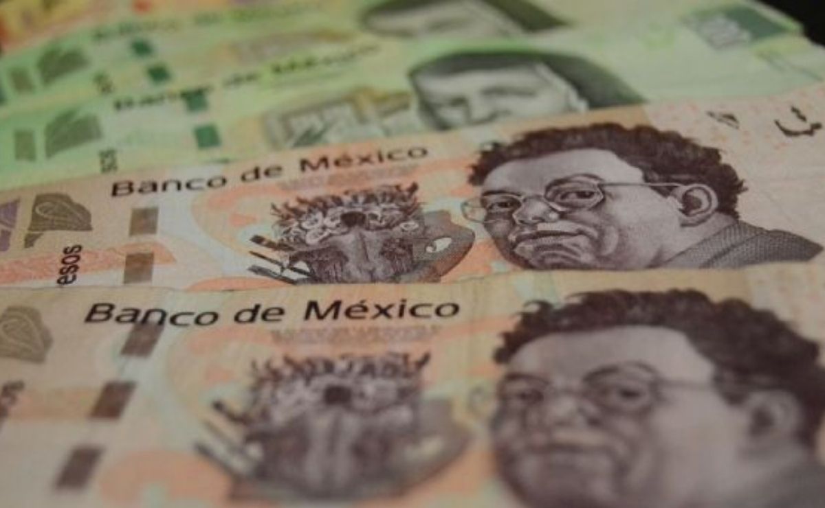 Conoce la beca BBVA para chavos que inspiran y descubre como la puedes solicitar