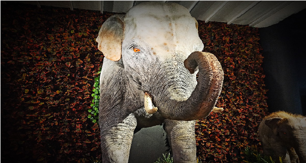 noticias toluca la entidad mantiene esposiciones en el centro cultural