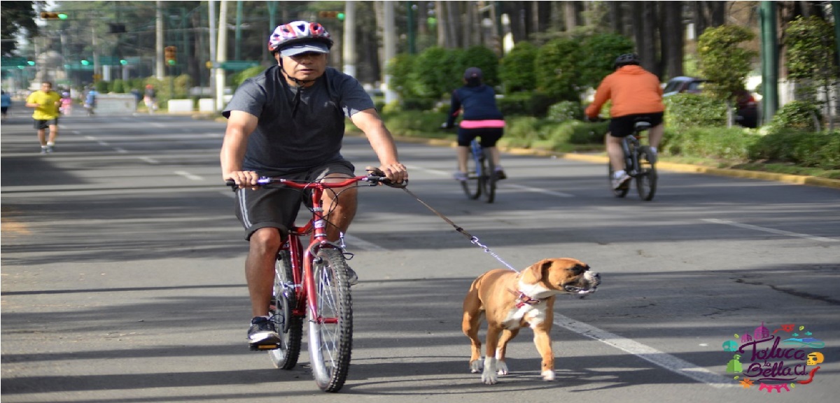 día mundial de la bicicleta 2021 es el 03 de junio