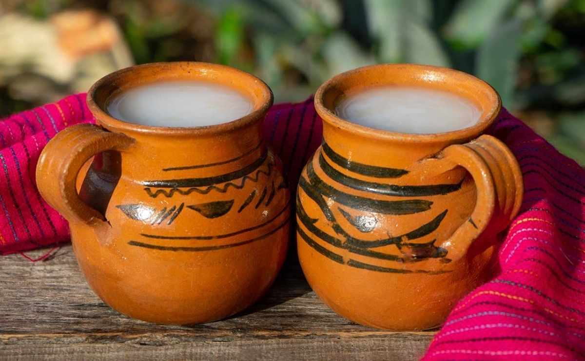 Investigadores del IPN realizan estudio y descubren que beber pulque puede prevenir el cáncer