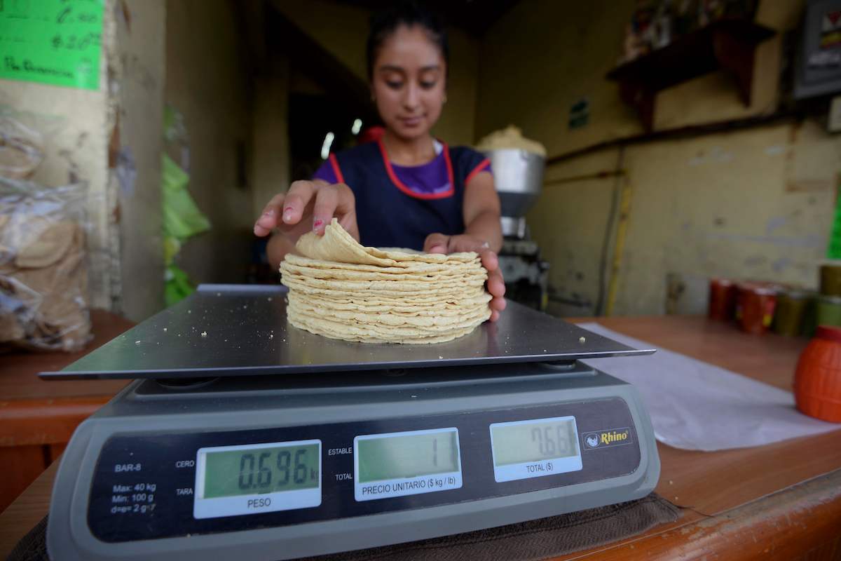 Profeco da a conocer el precio en el que se vende el kilo de tortilla en entidades del país