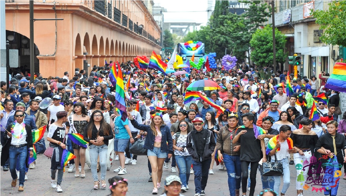 MARCHA DE INCLUSION EN TOLUCA