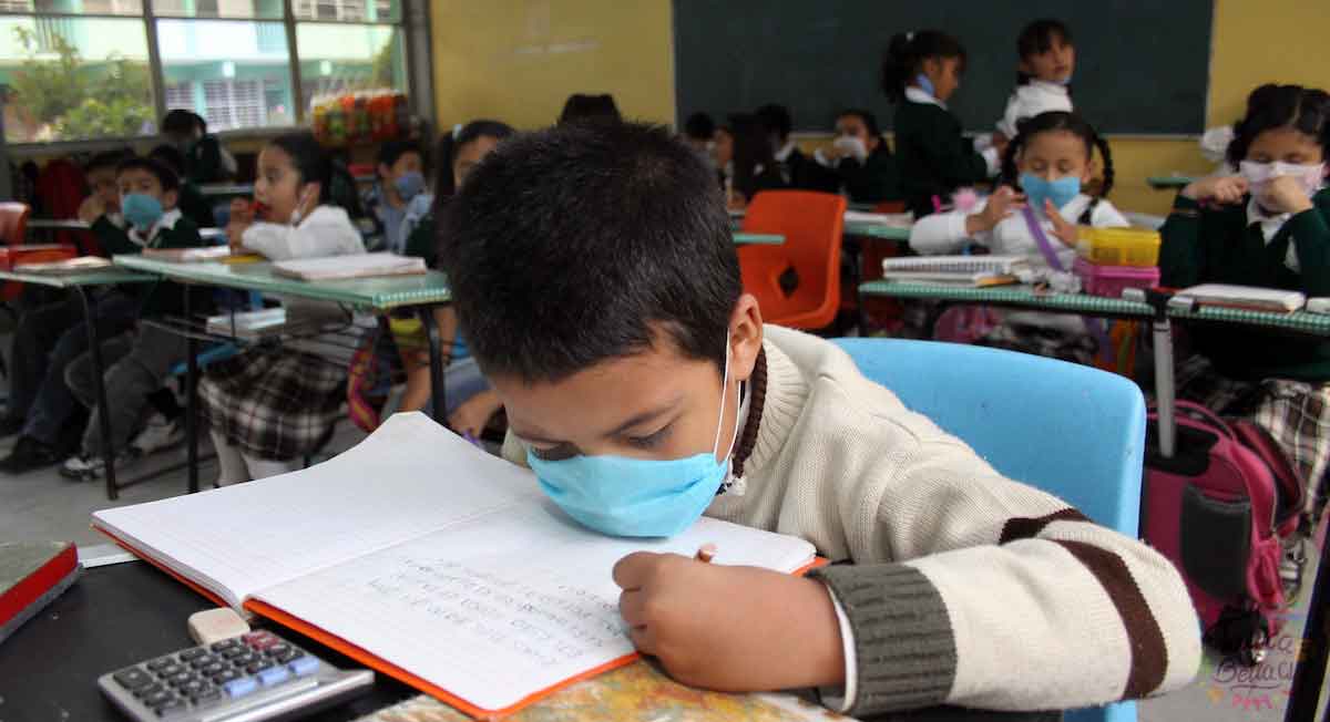 Todas las becas para preescolar, primaria, secundaria, prepa y universidad
