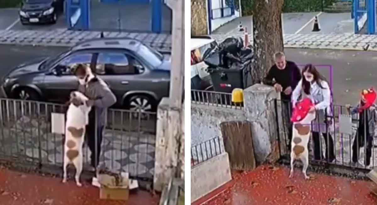 video viral del perrito quel e quitaro nsu abrigo y familia le da uno nuevo