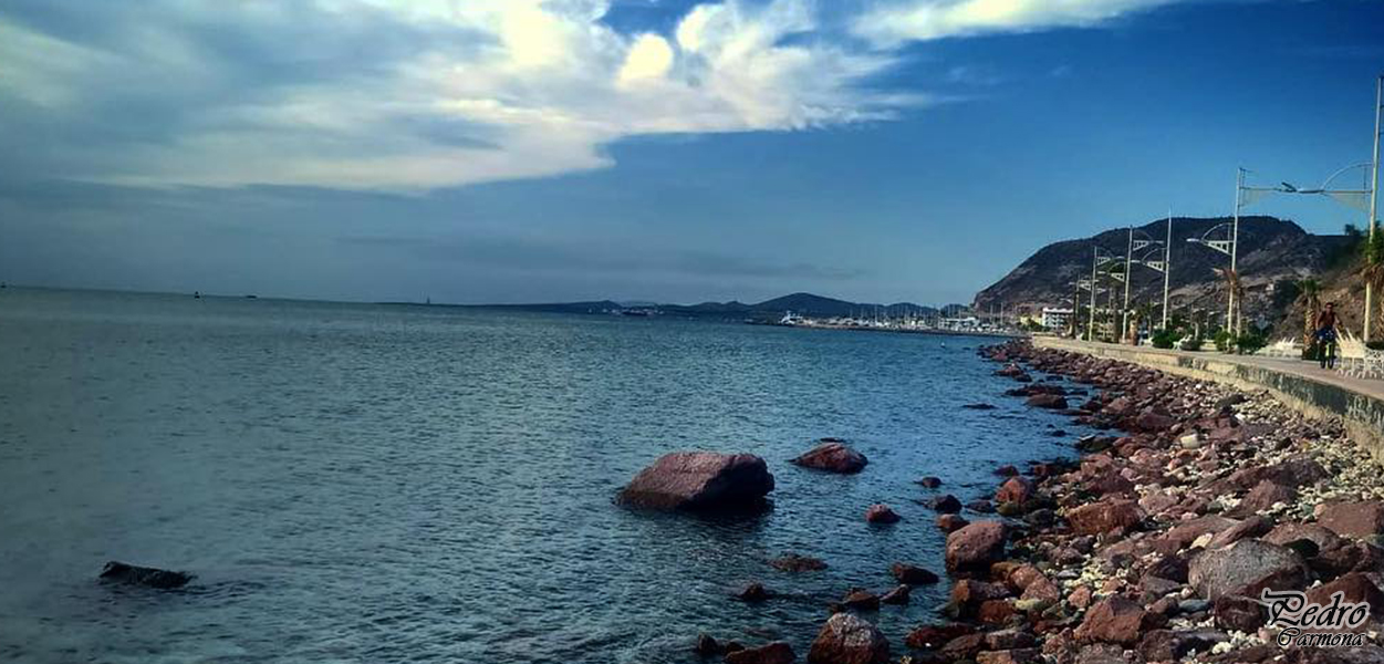 Vacaciones, que playas son aptas según la COFEPRIS