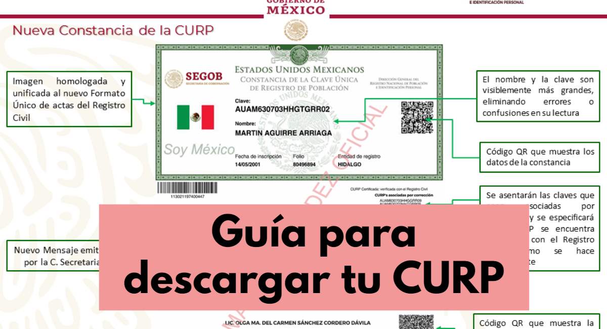 Guía para consultar tu CURP de manera gratuita por internet