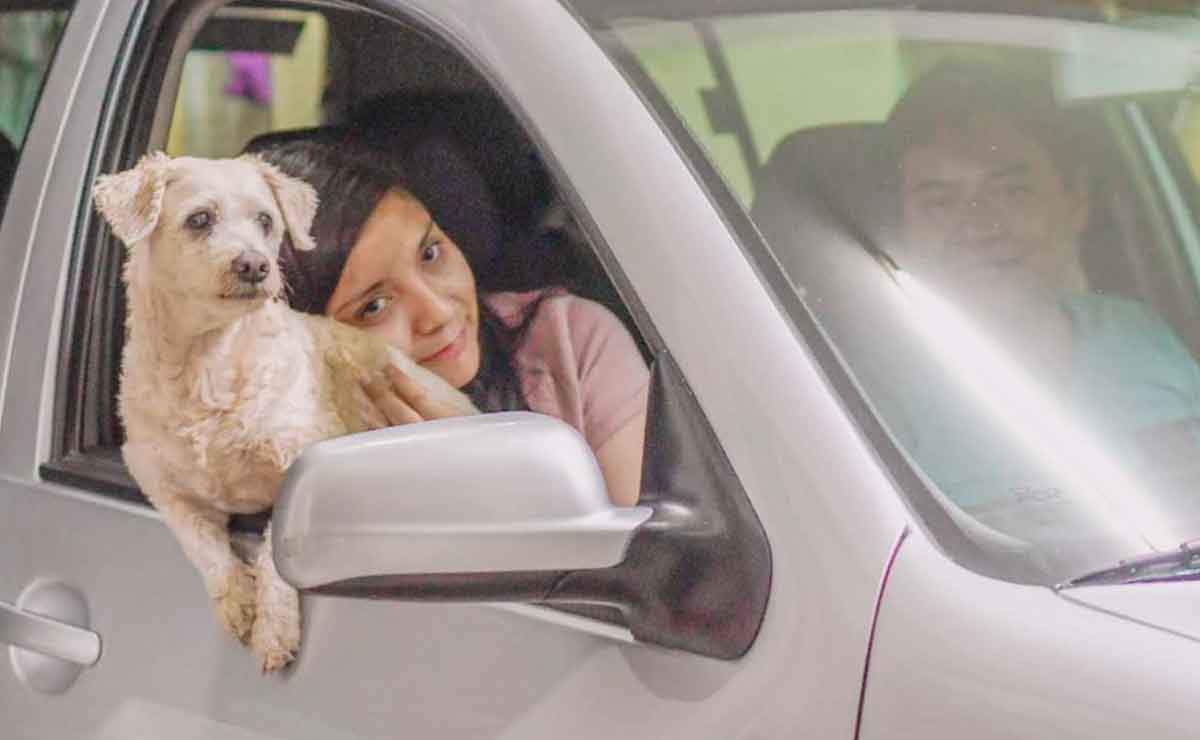 Día del perro ¿por qué se celebra el 21 de julio?