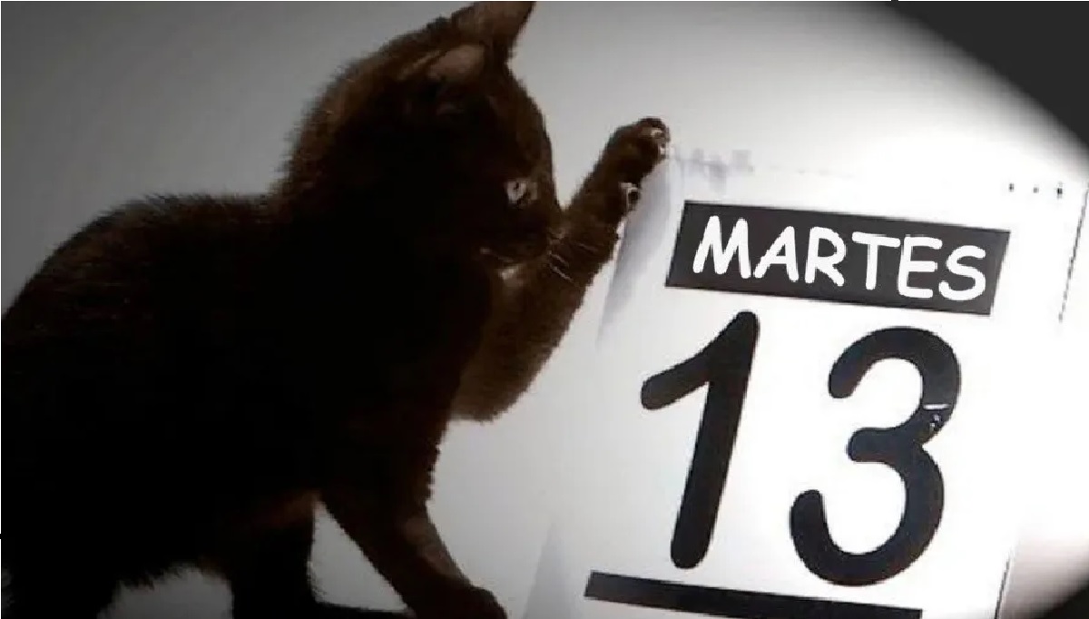 gato negro con calendario martes 13