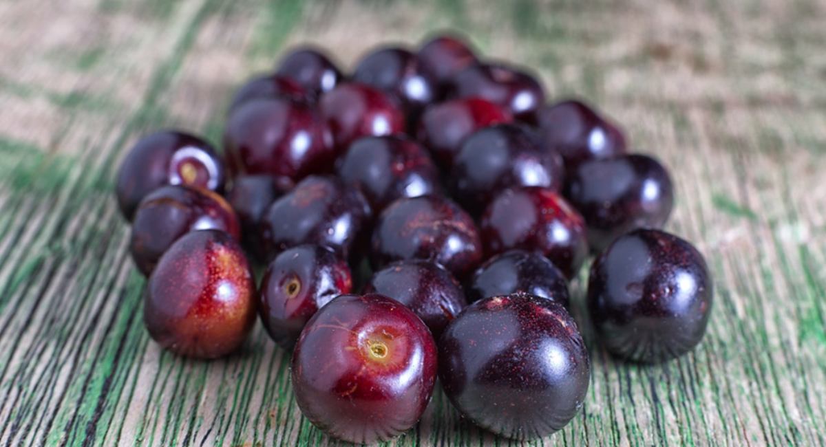 Primera feria del capulín llega a Capulhuac este próximo 2 de agosto 