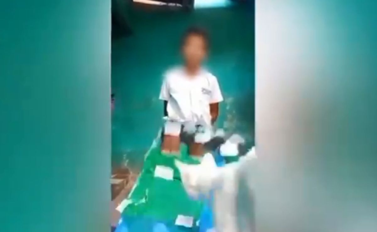 Se hace viral video de un gato que destruye la maqueta de un niño durante clase virtual
