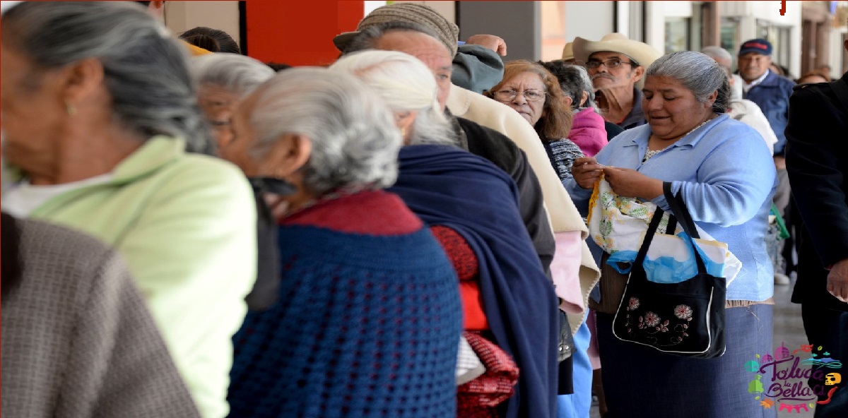 adultos mayores formados en Toluca para recibir apoyo
