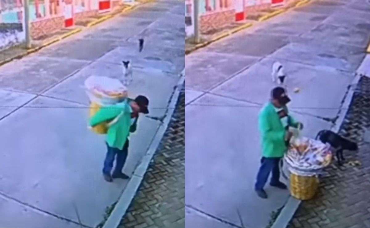 Un vendedor ambulante se hizo viral en redes por compartir comida a unos perros de la calle