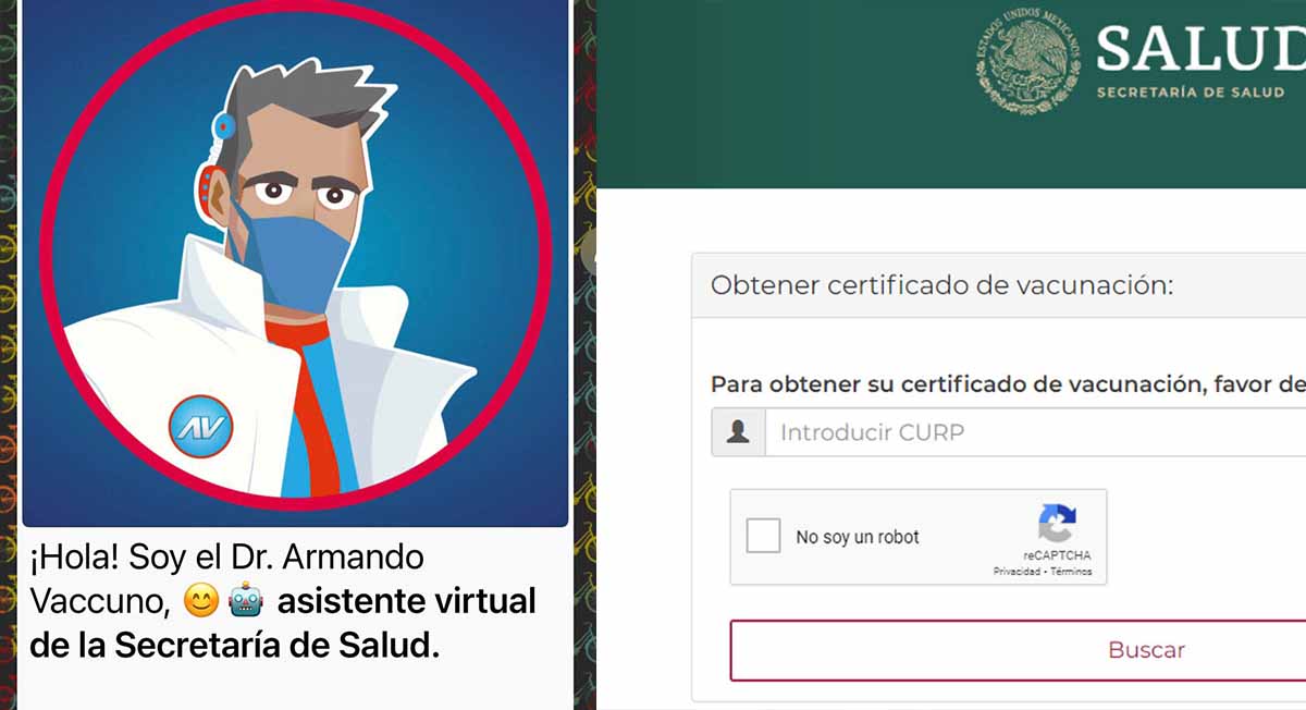 Certificado de vacunación: así puedes tramitarlo desde tu celular