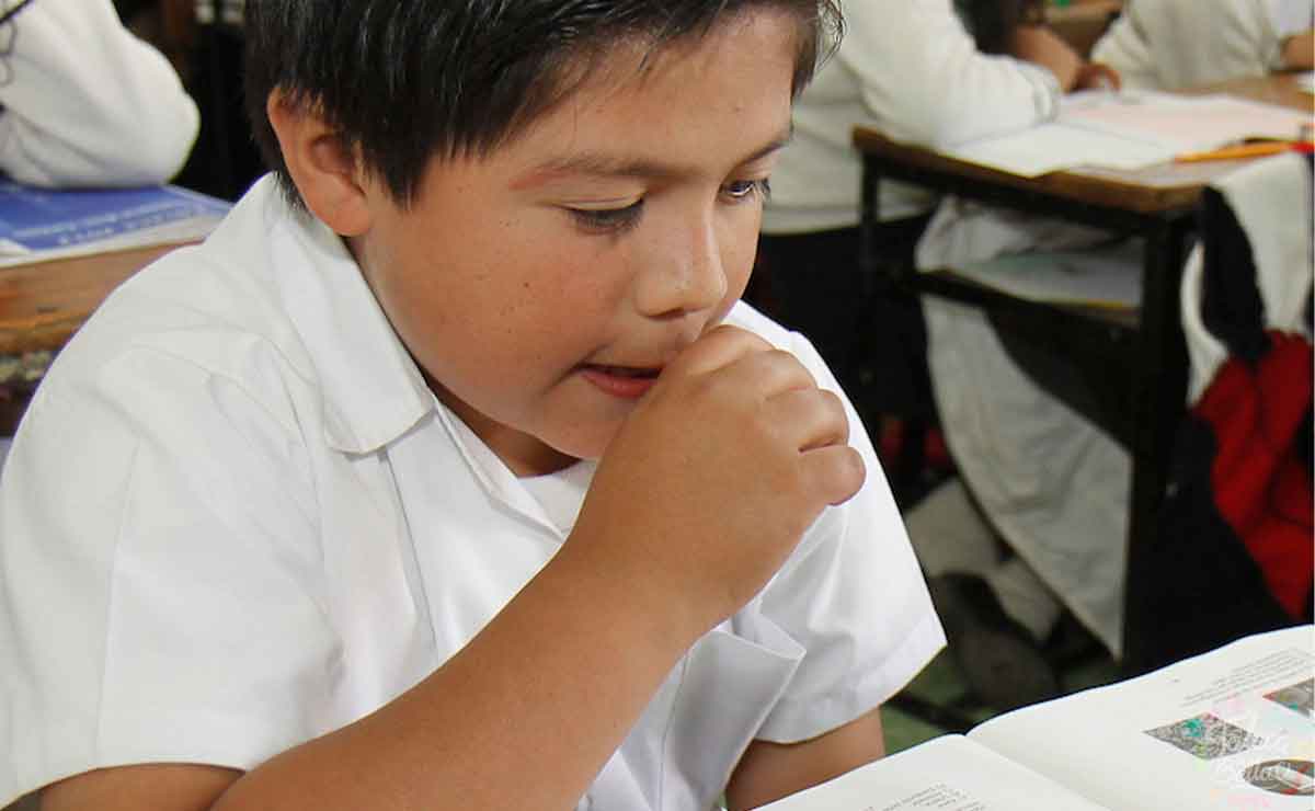 constancia de estudios edomex 2021