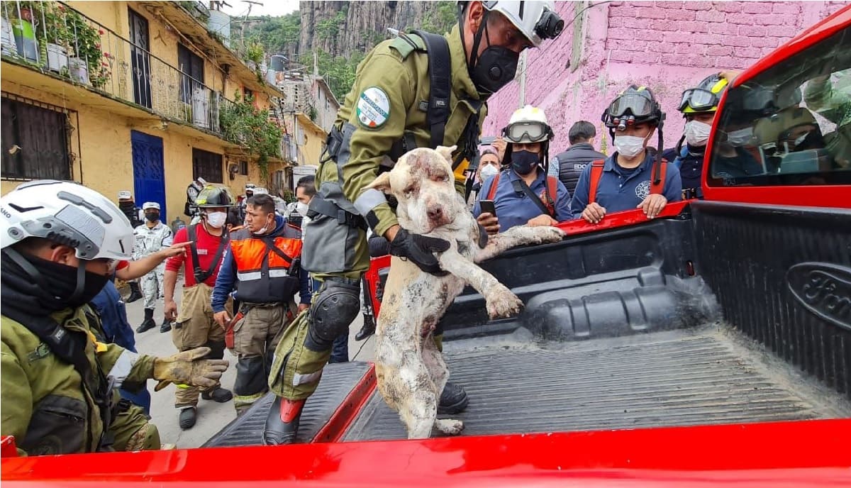 Beneficios de ser militar en México.