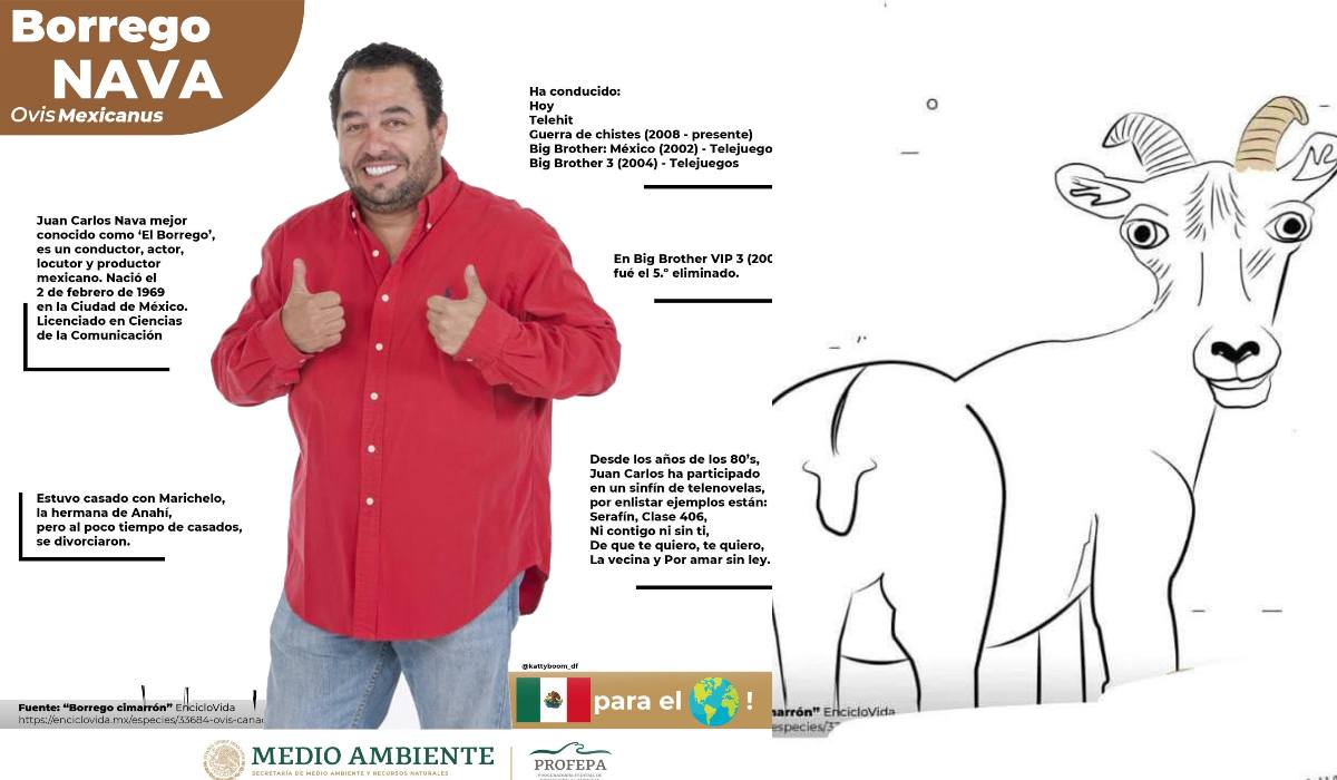 PROFEPA desata burlas en redes por la ilustración de un borrego cimarrón