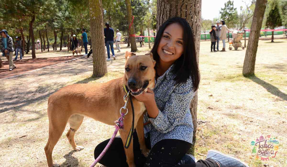 CURP para mascotas- Así puedes realizar el trámite de manera gratuita 