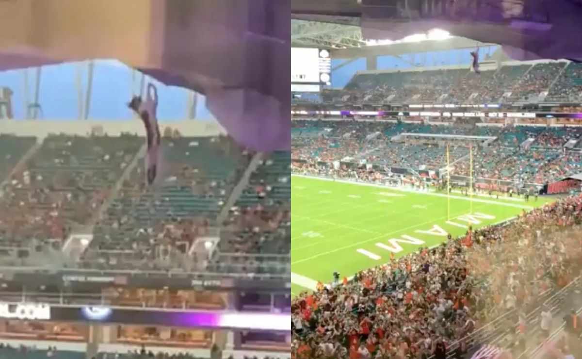 Aficionados salvan a gato con una badera cuando se cayó desde lo alto de un estadio
