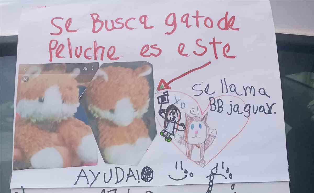 Niña busca a su gatito de peluche en CDMX y se vuelve viral