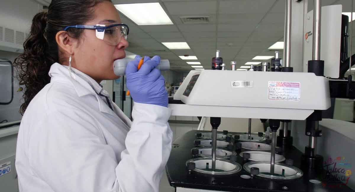 pfizer abre ofertas de empleo en toluca y cdmx