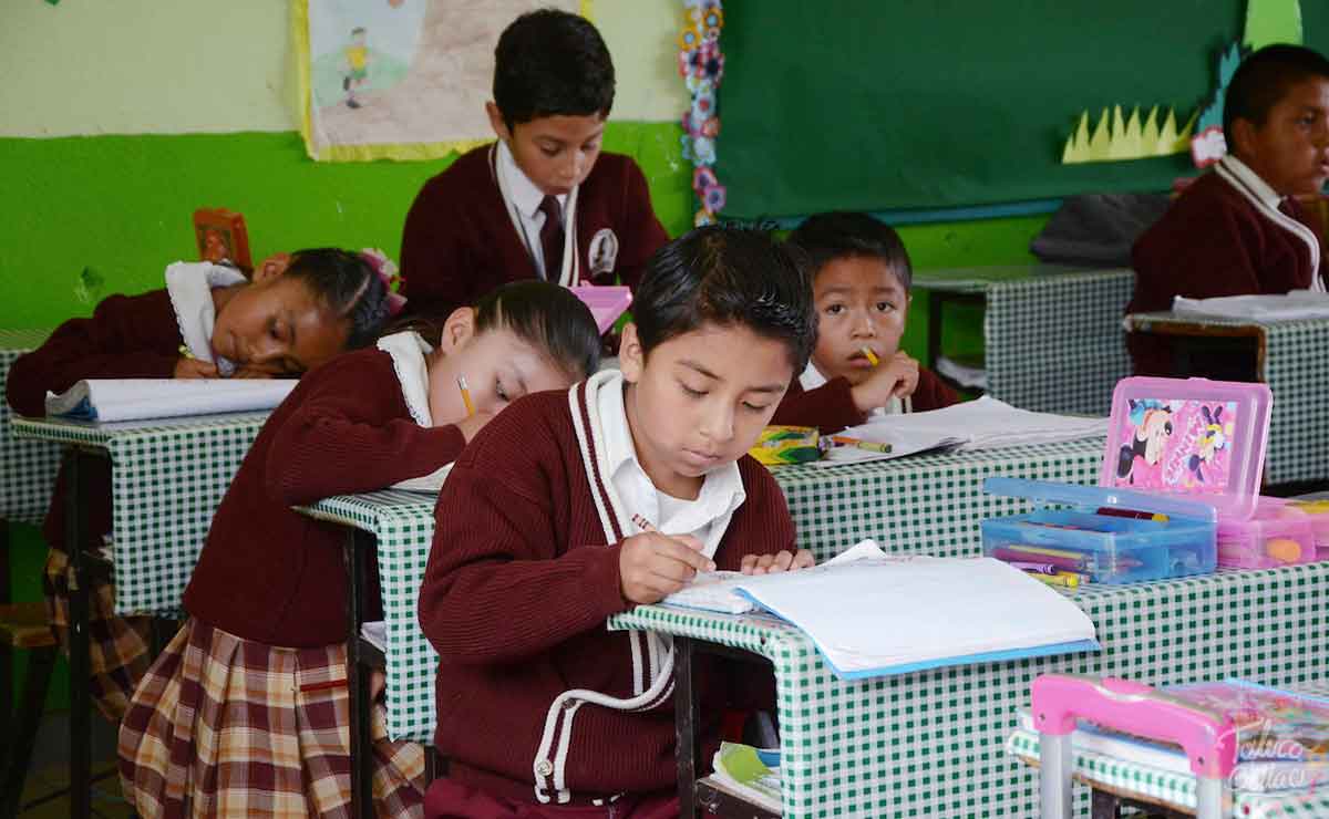 como imprimir formato de registro becas familias fuertes edomex