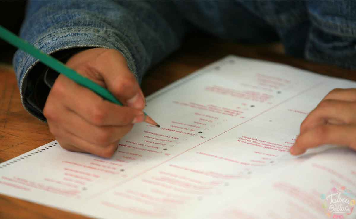 formato de registro becas familias fuertes por la educacion