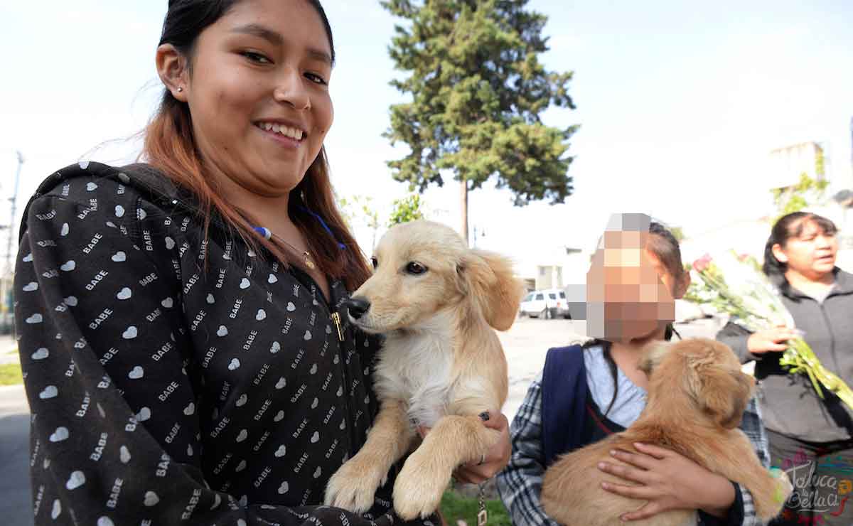 esterilización uaemex 2021