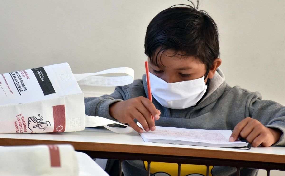 Conoce la fecha oficial para el regreso a clases presenciales de la SEP para preescolar, primaria y secundaria