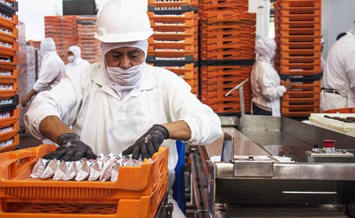 Consulta las vacantes de empleo que ofrece grupo Bimbo para Edomex y CDMX