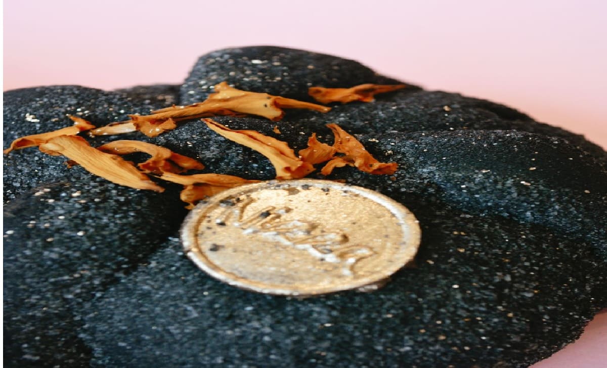 en donde comprar hojaldra dark en Toluca